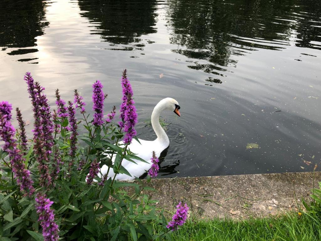 Cozy Double Bedroom In Stunning Bungalow On River Thames - Near Thorpe Park/Royal Holloway University/20Mins From Heathrow Staines-upon-Thames Ngoại thất bức ảnh